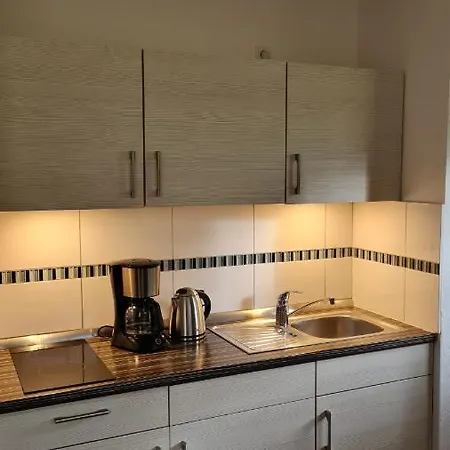 Ferienwohnung Braunlage - Gemuetliche Auszeit Buitenkant foto