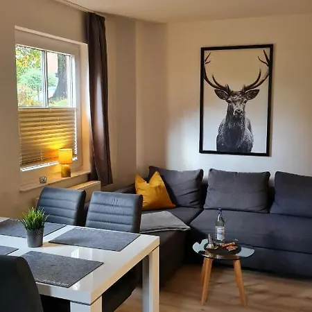 Ferienwohnung Braunlage - Gemuetliche Auszeit Buitenkant foto
